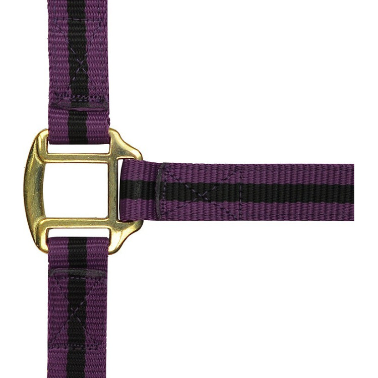 Licol nylon doublé cuir Norton Licol nylon doublé cuir Norton
