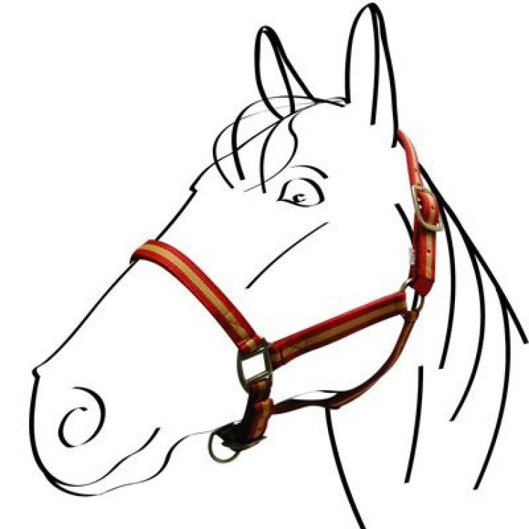 Licol nylon doublé cuir Norton Licol nylon doublé cuir Norton