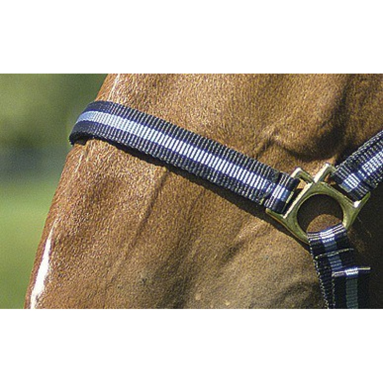 Licol nylon doublé cuir Norton Licol nylon doublé cuir Norton