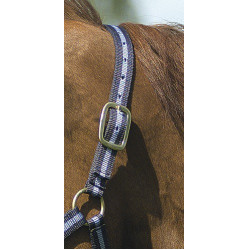 Nylon halster met lederen voering Norton Nylon halster met lederen voering Norton