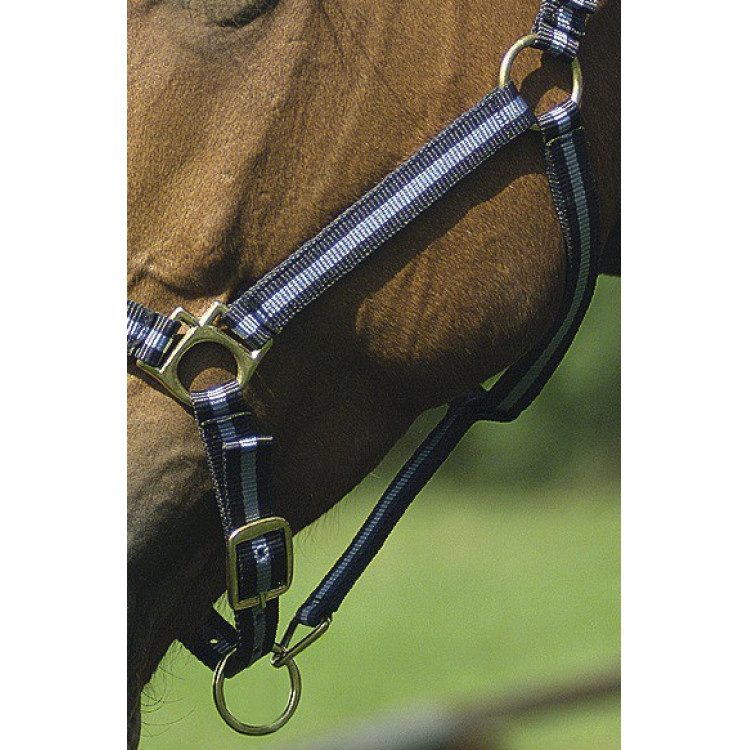 Licol nylon doublé cuir Norton Licol nylon doublé cuir Norton