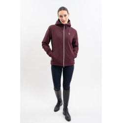 Heren bodywarmer Harcour Aubin voor paardrijden | Equi-Clic