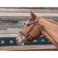 Bridon Lautrec T de T Tabak / zwart Bruin Bridon Lautrec T de T Tabak / zwart Bruin