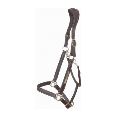 Licol Cuir Avec Plaque Tetiere Anatomique T de T Marron foncé