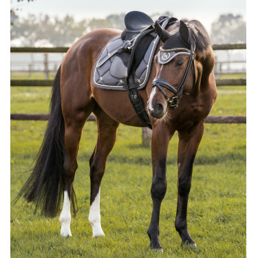 Zadeldek CSO Night Collection Back On Track Grijs Zadeldek CSO Night Collection Back On Track Grijs