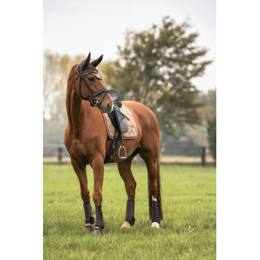 Zadeldek Back on Track Haze Collection Bruin