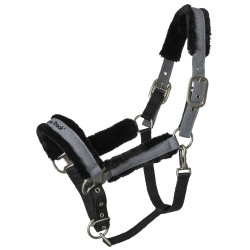 Halster Back on Track Haze Collection Halster Back on Track Haze Collection