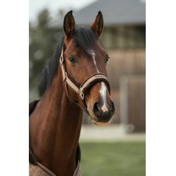 Halster Back on Track Haze Collection Bruin