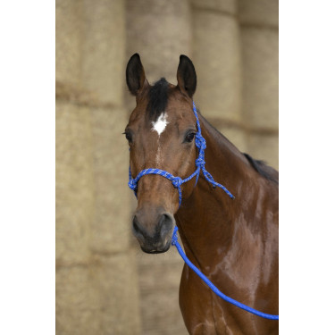 Ethologisch halster Norton + leadrope Eco Ethologisch halster Norton + leadrope Eco