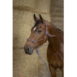 Ethologisch halster Norton + leadrope Eco Ethologisch halster Norton + leadrope Eco