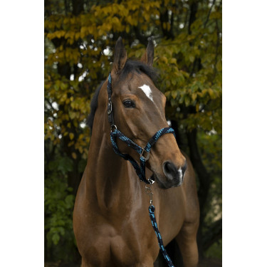 Halster + lijn Equitheme Gevlochten Halster + lijn Equitheme Gevlochten