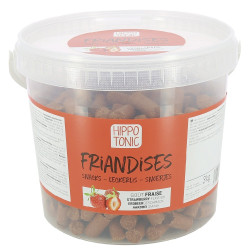 Bonbons pour chevaux goût fraise Hippotonic