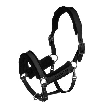 Licol Equestro en polypropylène avec rembourrage en mouton synthétique