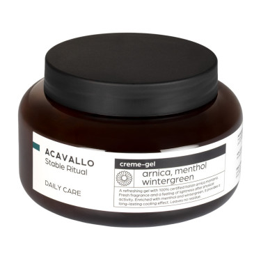 Arnica 90 met menthol 500 ml