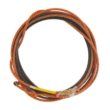 Lasso professionnel Pool's d’occasion USA