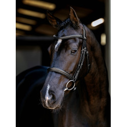 Arika Cavesson Bridle LeMieux
