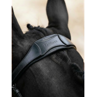 Arika Cavesson Bridle LeMieux
