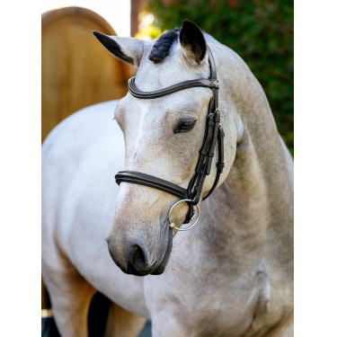 Arika Cavesson Bridle LeMieux Bruin / zilver