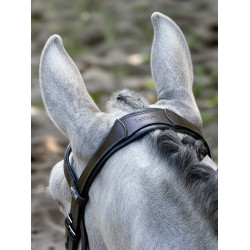 Arika Cavesson Bridle LeMieux Bruin / zilver