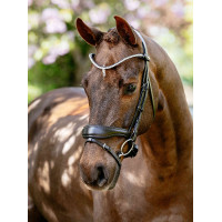 Bridon de dressage anatomique Kudos LeMieux