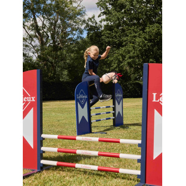 Obstacle Hobby Horse LeMieux