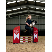 Hobby Horse LeMieux Benetton blauw