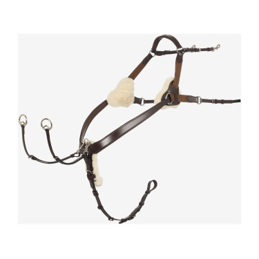 Collier de chasse en 5 points Kudos LeMieux