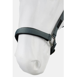 Licol Milan Horze Balsam green Vert