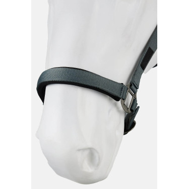 Licol Milan Horze Balsam green Vert