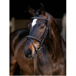 Bridon Flash Arika Classique LeMieux