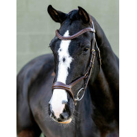Kudos Sport Bridle LeMieux