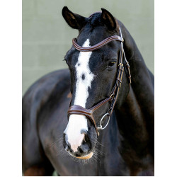 Kudos Sport Bridle LeMieux