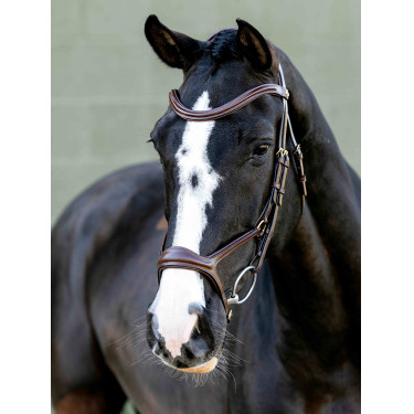 Kudos Sport Bridle LeMieux