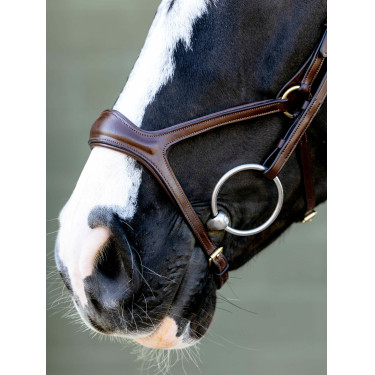 Bridon Kudos Sport LeMieux