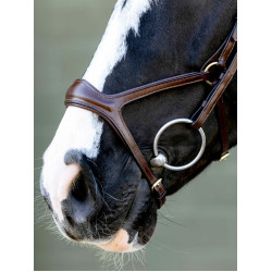 Kudos Sport Bridle LeMieux