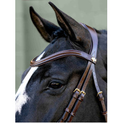 Kudos Sport Bridle LeMieux