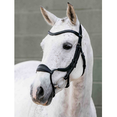 Bridon muserolle Adjustable Anatomic Arika noir/argent LeMieux