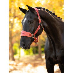 Halster en leadrope LeMieux Vogue Esme Roodbruin Oranje