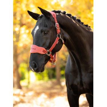 Halster en leadrope LeMieux Vogue Esme Roodbruin Oranje