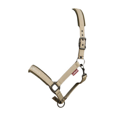 Licol d'équitation LeMieux confortable et stylé