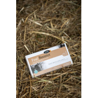 Foal Booster Horse Master par 4