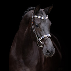 Bridon HV Polo Chaya Bridon HV Polo Chaya