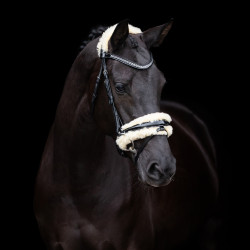 Bridon HV Polo Kate Noir