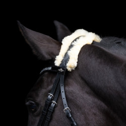 Bridon HV Polo Kate Noir