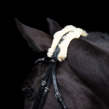 Bridon HV Polo Kate Noir