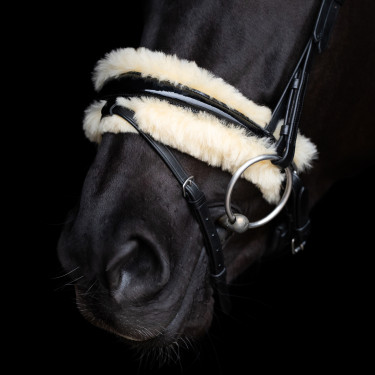 Bridon HV Polo Kate Noir