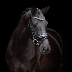 Bridon HV Polo Diana Bridon HV Polo Diana