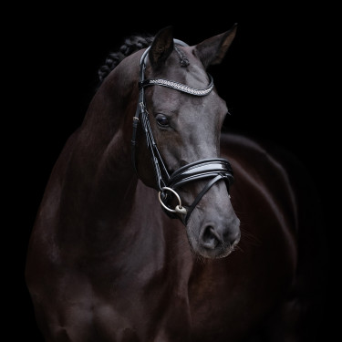 Bridon HV Polo Diana Bridon HV Polo Diana