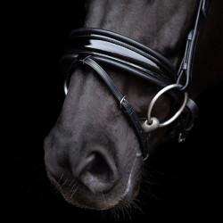 Bridon HV Polo Diana Bridon HV Polo Diana