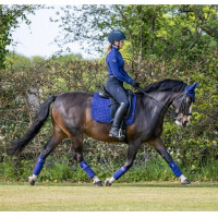 Tapis LeMieux dressage square - luxury Bleu benetton